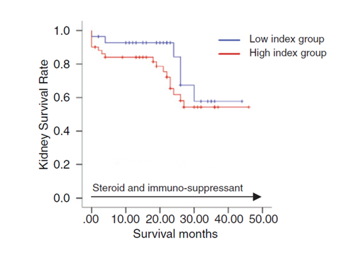Comparison of survival curves of diagnosed patients with high/low IgA immune activity index (K-M curve).